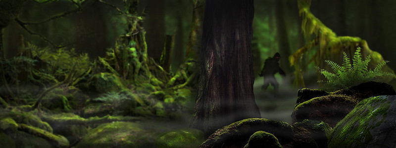 Bigfoot Sightings in Portage County, Ohio: Local Legends and Reports