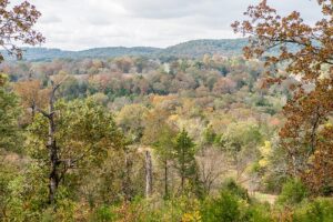 Cryptids in the Ozarks: Strange Creatures and Local Legends