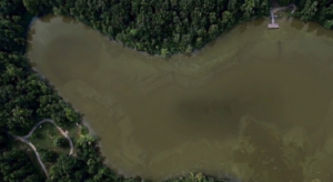 River Monster Folklore: Why Strange Creatures Haunt Deep Water