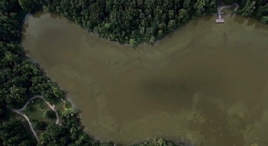 River Monster Folklore: Why Strange Creatures Haunt Deep Water