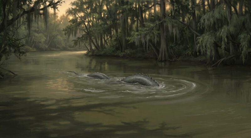 White River Monster of Arkansas: Muddy Water, Old Reports, and Local Legend