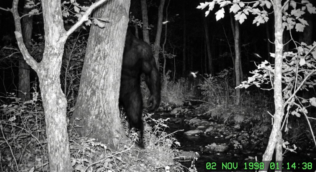 Wood Booger Folklore: Virginia’s Strange Name for a Bigfoot Legend