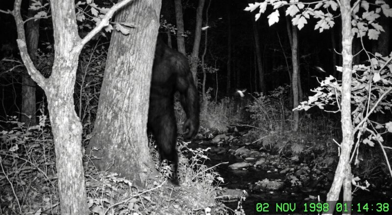 Wood Booger Folklore: Virginia’s Strange Name for a Bigfoot Legend