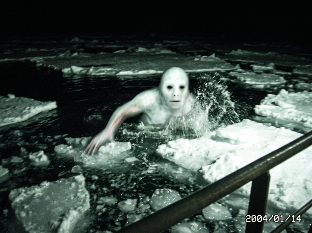 Ningen Cryptid of Antarctica: Ocean Mystery, Internet Lore, and White Giants