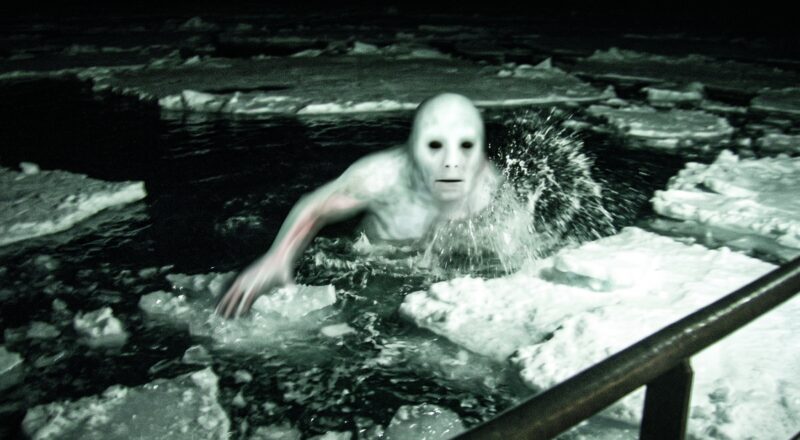 Ningen Cryptid of Antarctica: Ocean Mystery, Internet Lore, and White Giants