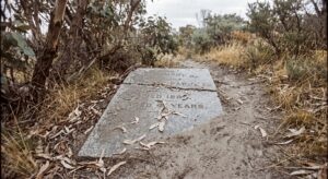 The City Built on Its Own Dead: San Francisco’s Disrupted Graves and Restless Foundations