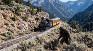 Bigfoot in the San Juans: Colorado’s Sasquatch Country