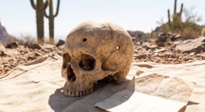 The Lost Dutchman’s Curse: Counting the Dead in the Superstition Mountains