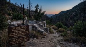 The Cobb Estate: Altadena’s Haunted Forest After the Fire